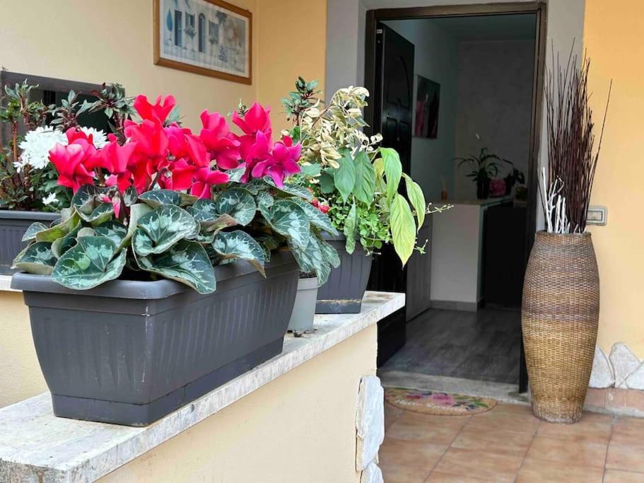 Domus Acquedotto Apartamento Roma Exterior foto